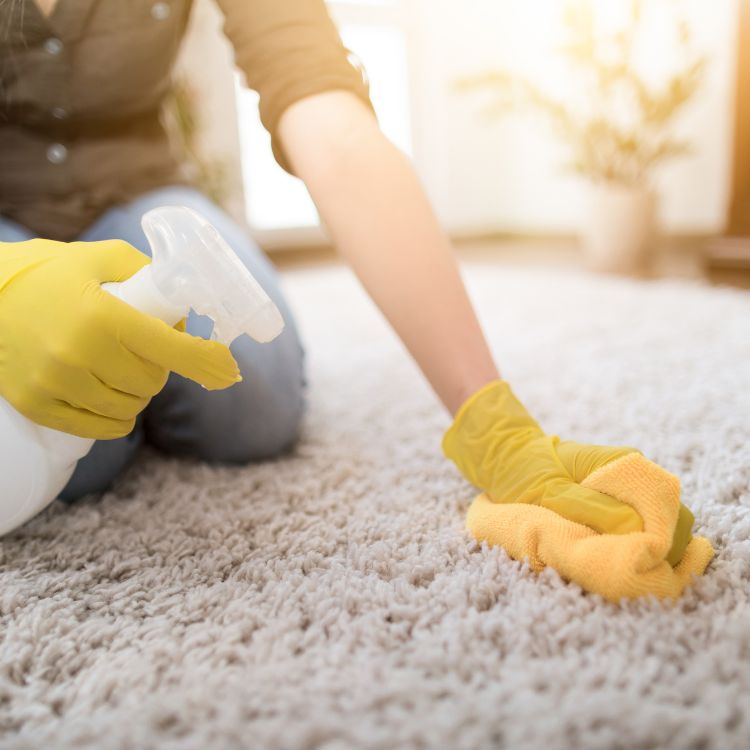 Customized Carpet Cleaning Plans