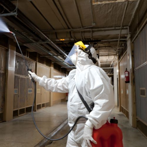 covid-19-disinfection-service-workplace