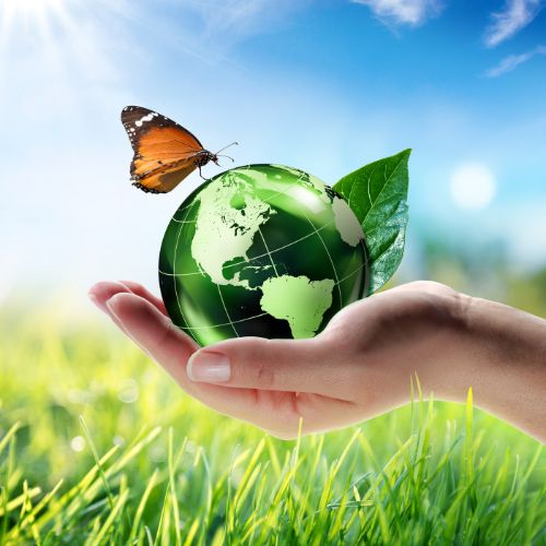 Green Cleaning Services