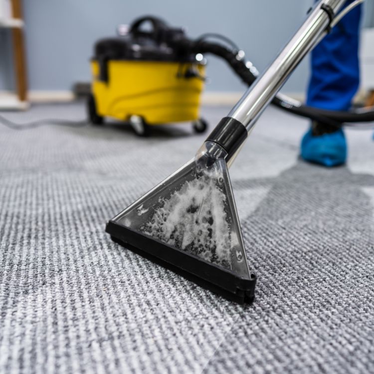 Office Carpet Cleaning