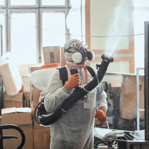 Covid-19 Disinfection Service